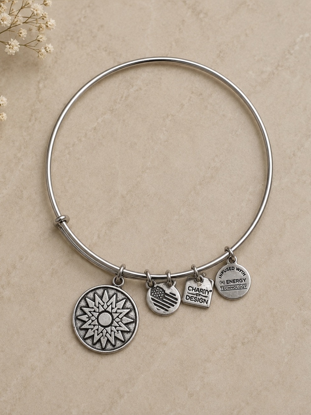 Alex & Ani New Beginnings Silver-toned Bangle Bracelet 2015